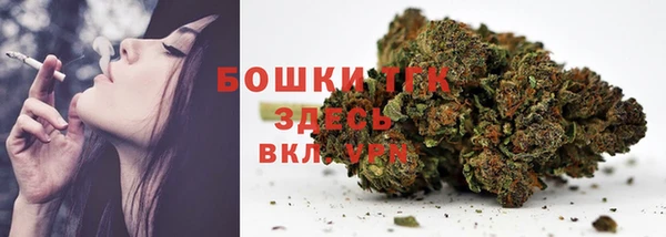 гидропоника Новозыбков