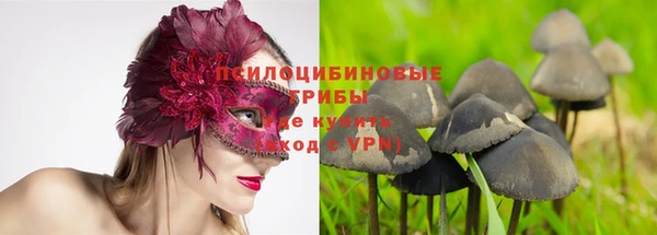 не бодяженный Новодвинск