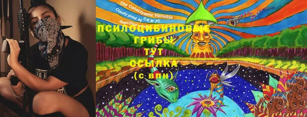 не бодяженный Новодвинск
