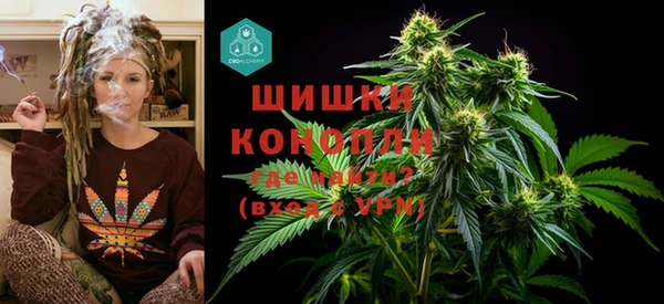 не бодяженный Новодвинск