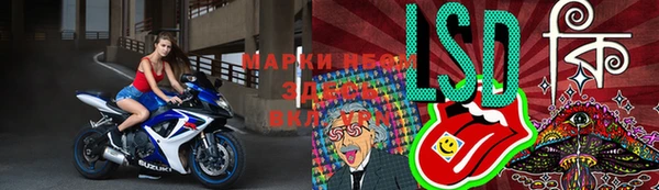 гидропоника Новозыбков