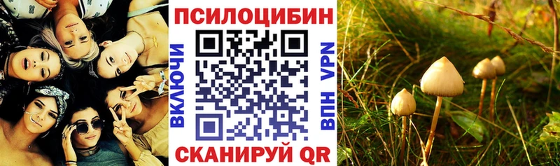 даркнет официальный сайт  Нефтегорск  Псилоцибиновые грибы Cubensis 